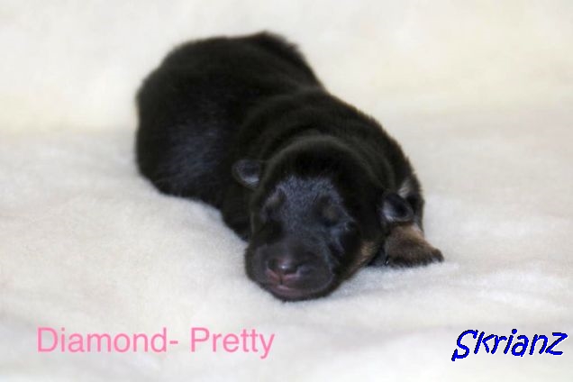 16.2.2021 - Diamond-Pretty ❤️